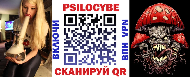 Галлюциногенные грибы MAGIC MUSHROOMS  где купить   Алзамай 